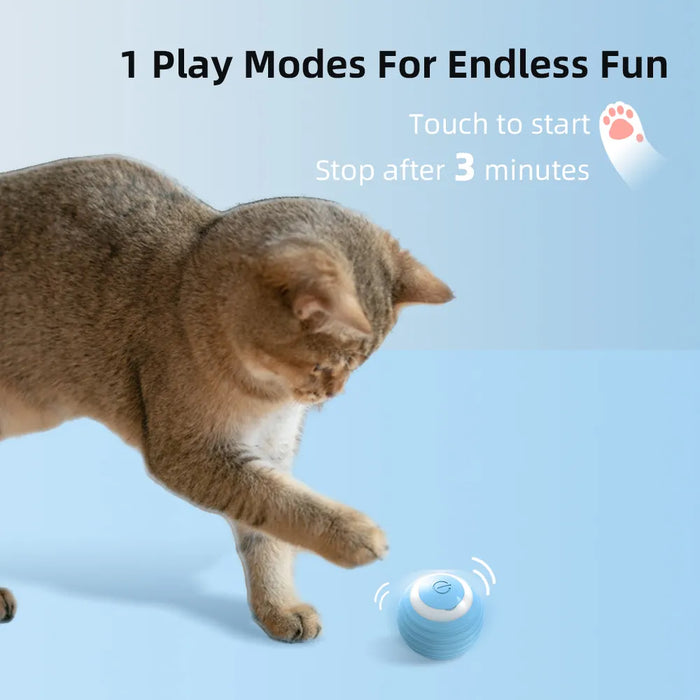 Interactive Ball for cats