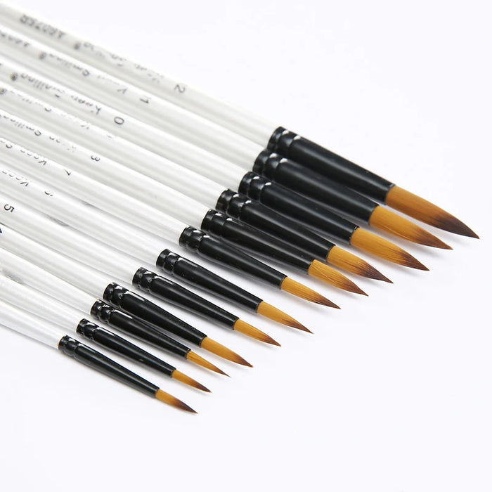 12Pcs Artist Paint Brushes Set