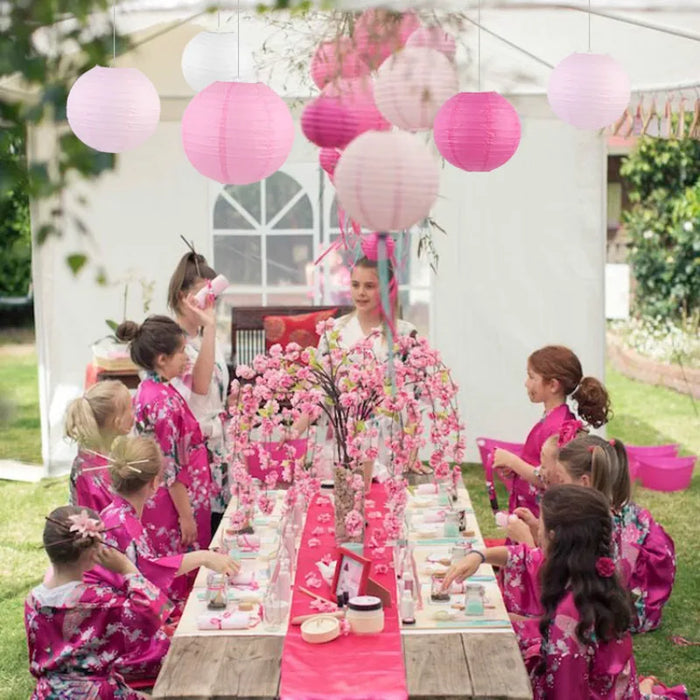 Chinese /Japanese Paper Lanterns