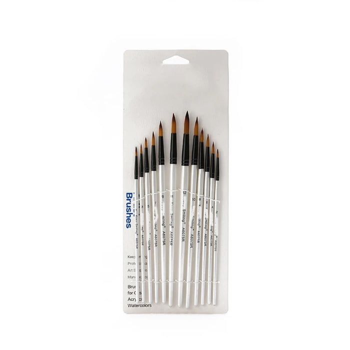 12Pcs Artist Paint Brushes Set