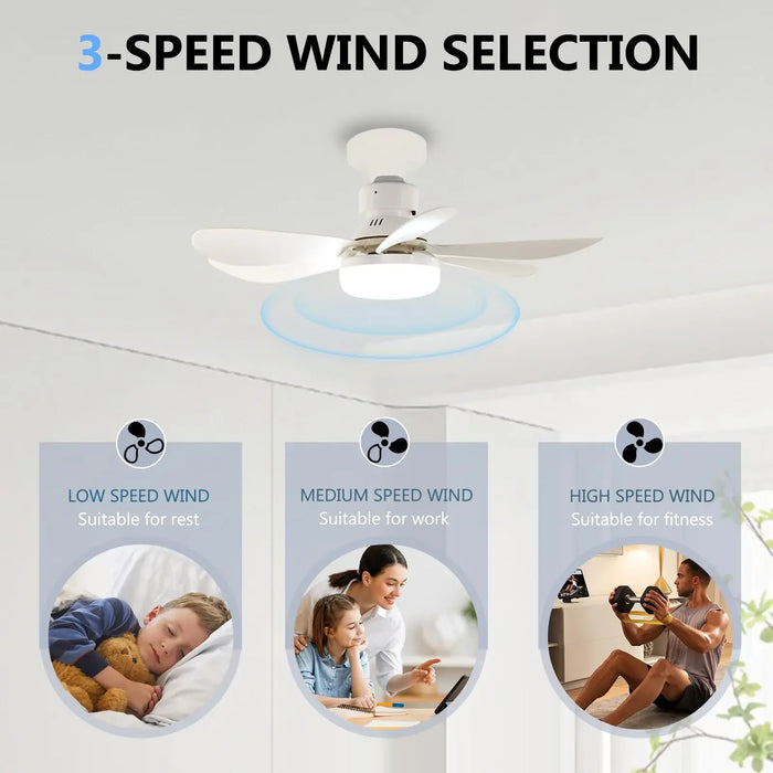 LED 30W Ceiling Fan with Light and Remote