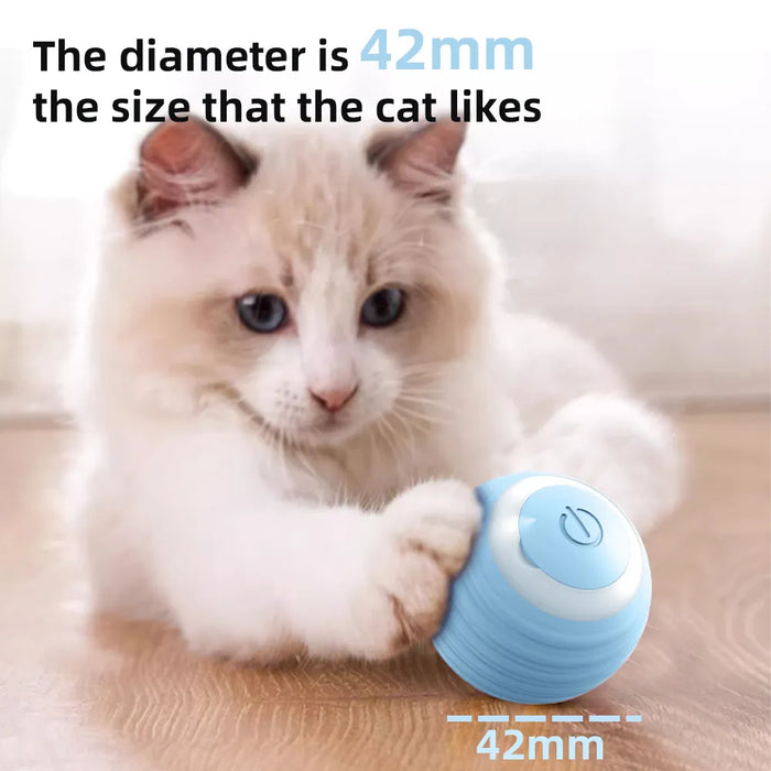 Interactive Ball for cats