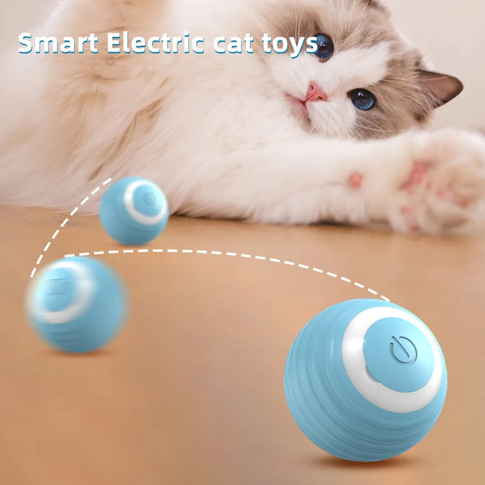 Interactive Ball for cats