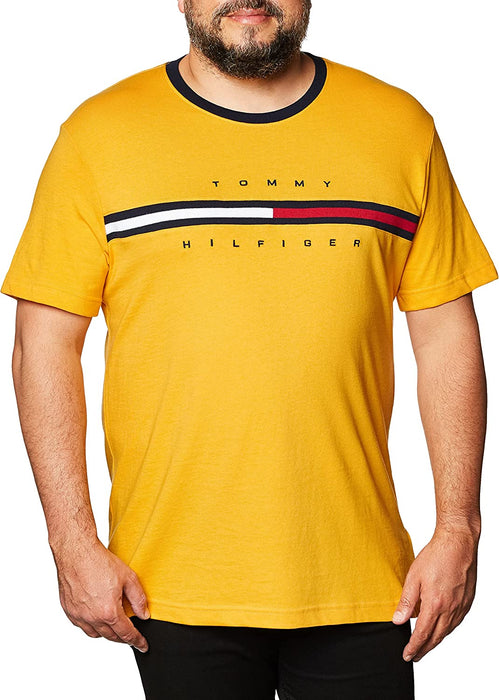 Men'S Short Sleeve Signature Stripe Graphic T-Shirt