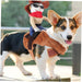 Pet Transformation Costume Knight Style Dog Riders Clothing Horse Riding Dog Apparel Puppy Suits Costumes Pet Party Funny Cat Costume Dog Costume Halloween Cosplay Dress Polyester