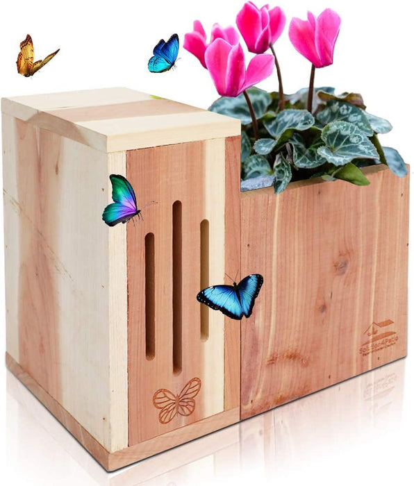 #G-B309A00-US USA Cedar Butterfly House & Flower Pot 2 in 1 Combination Multifunctional Design with Drainage Holes, 9.2 In. L X 5.7 In. W X 8.0 In. H