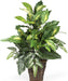 6527 Greens with Wicker Decorative Silk Plant, Green