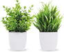 2 Packs Small Fake Plants Mini Artificial Potted Plants for Table Desk Home Bathroom Office Decor