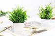 2 Packs Small Fake Plants Mini Artificial Potted Plants for Table Desk Home Bathroom Office Decor