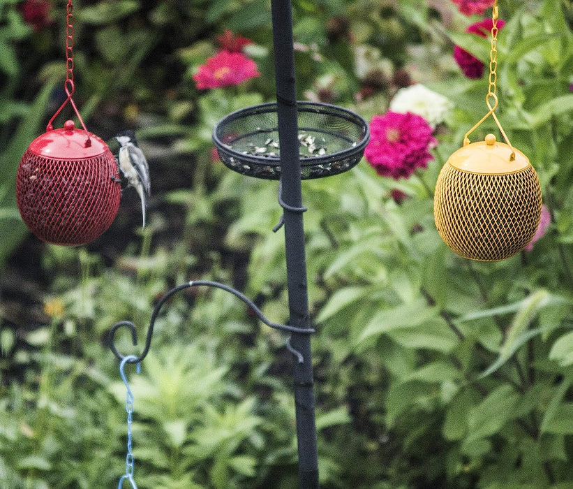 - Set of 3 Squirrel Proof Bird Feeders for outside - Bonus Ebook and Bird Attraction Audio Included - Squirrel Resistant Bird Feeders