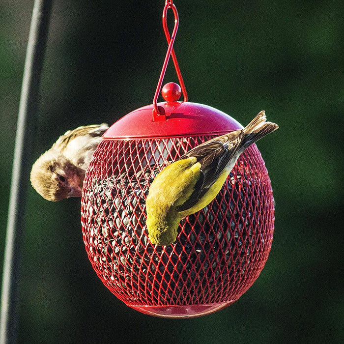 - Set of 3 Squirrel Proof Bird Feeders for outside - Bonus Ebook and Bird Attraction Audio Included - Squirrel Resistant Bird Feeders