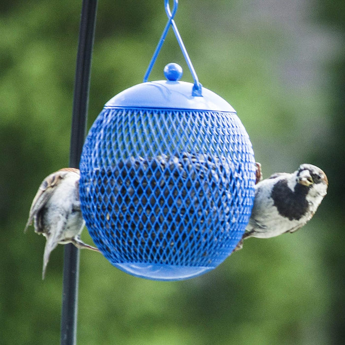 - Set of 3 Squirrel Proof Bird Feeders for outside - Bonus Ebook and Bird Attraction Audio Included - Squirrel Resistant Bird Feeders