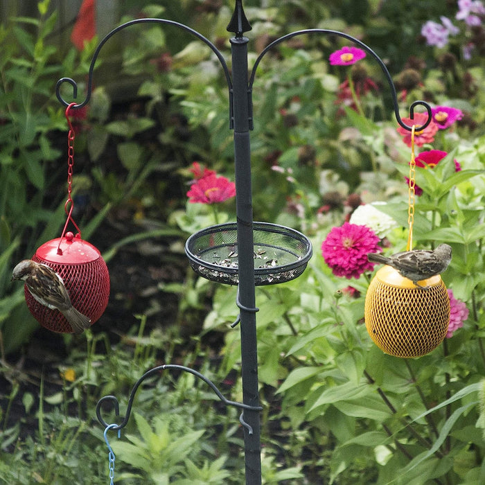 - Set of 3 Squirrel Proof Bird Feeders for outside - Bonus Ebook and Bird Attraction Audio Included - Squirrel Resistant Bird Feeders