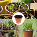 50 Pcs 6" Plastic Plants Nursery Seedlings Pot/Pots Flower Plant Container Seed Starting Pots