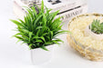 2 Packs Small Fake Plants Mini Artificial Potted Plants for Table Desk Home Bathroom Office Decor